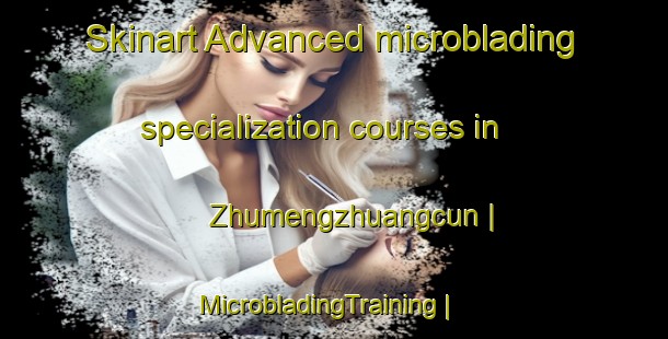 Skinart Advanced microblading specialization courses in Zhumengzhuangcun | MicrobladingTraining | MicrobladingClasses | SkinartTraining-China